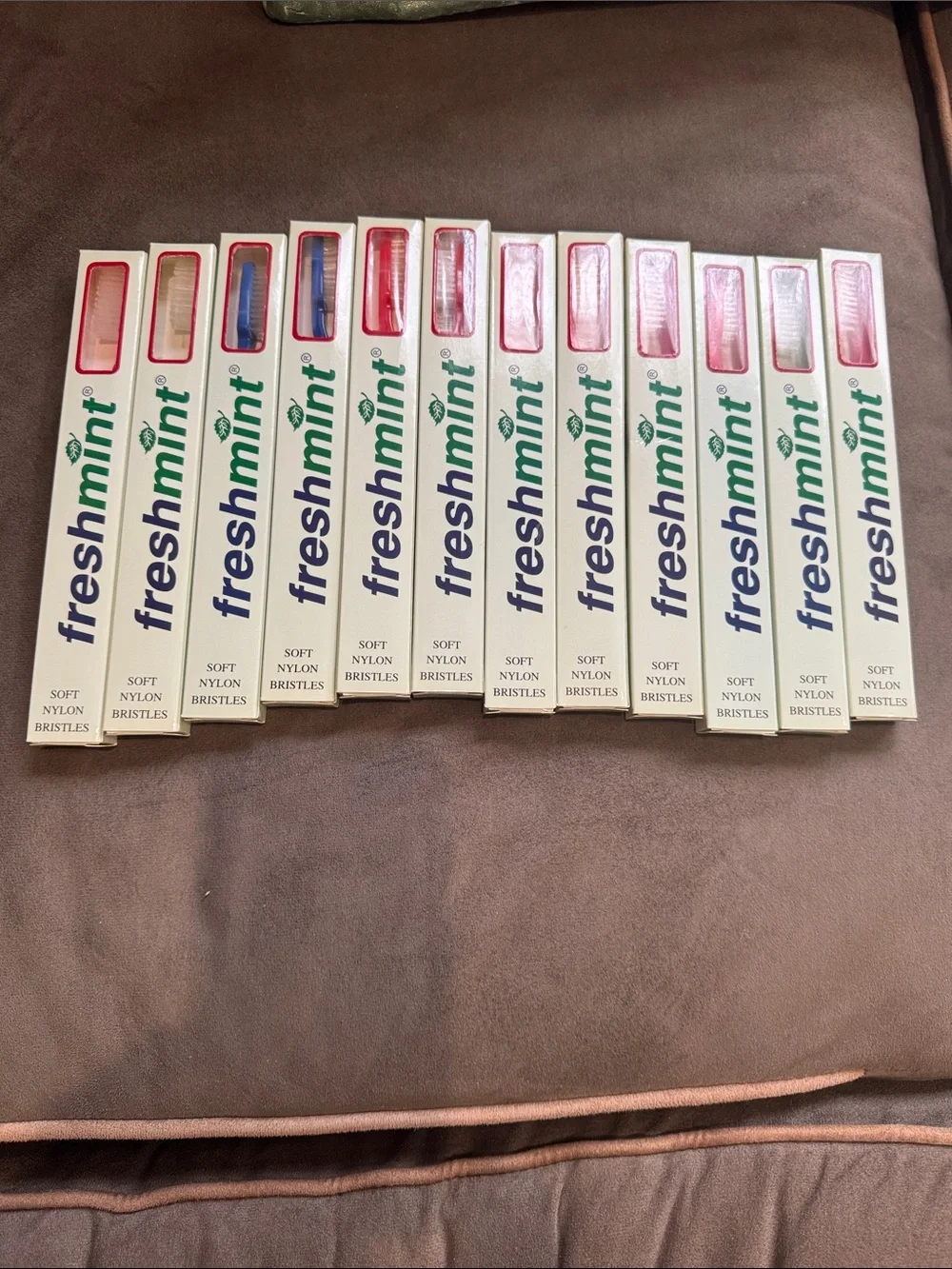 12 Soft Nylon Toothbrushes - Assorted Colored Bristles